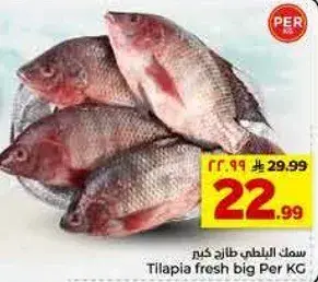 سمك البلطي طازج كبير