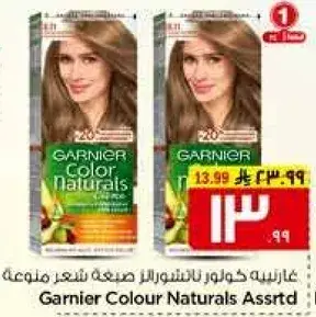Garnier Colour Naturals Assorted