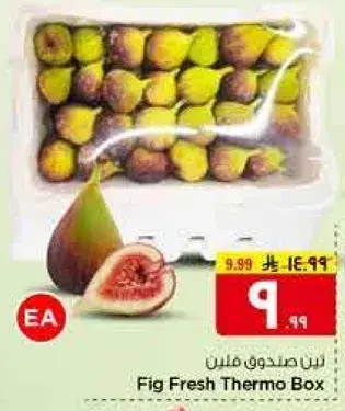 تين صندوق مغطي