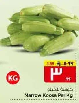 كوسه للكيلو