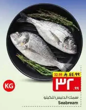 Seabream