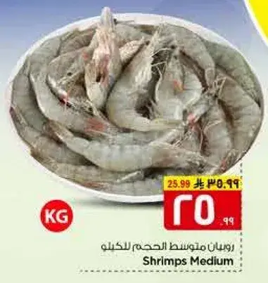 Medium Shrimps