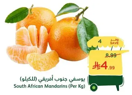 South African Mandarins (Per Kg)