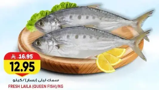 سمك ليلي (بسا) كيلو