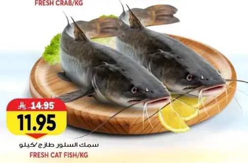 سمك السلور طازج كيلو