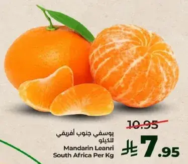 Mandarin Learni from South Africa, sold per kg.