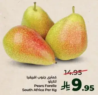 Pears Forelle from South Africa, sold per kg.