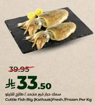 سمك حبار كبير مجمد / طازج للكيلو