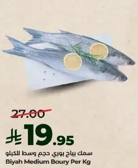 Biyah Medium Boury Per Kg