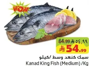 سمك كنعد وسط/كيلو