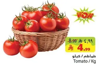 Tomato/Kg