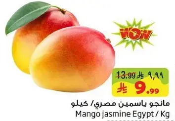Mango jasmine Egypt/Kg
