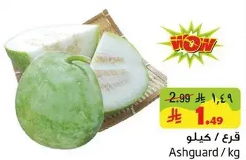 Ashguard/Kg