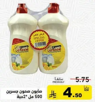 Isreen dishwashing liquid, 500 ml, 2 pack