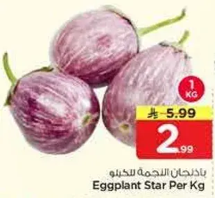 باذنجان النجمه للكيو