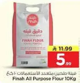 فينه دقيق متعدد الاستعمالات 10كغ