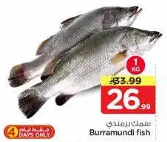 Burramundi fish 1kg