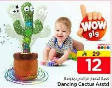 Dancing Cactus Asstd