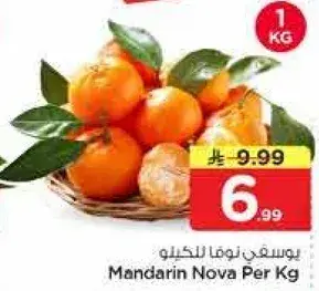 Mandarin Nova Per Kg