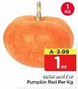 قرع احمر للكيلو