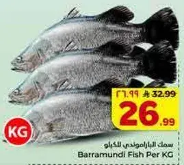 Barramundi Fish Per KG