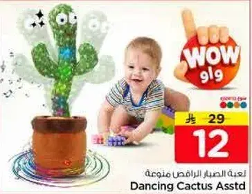 Dancing Cactus Asstd