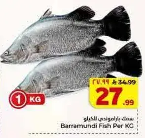 Barramundi Fish Per KG