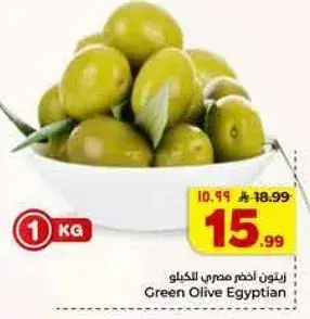 Green Olive Egyptian