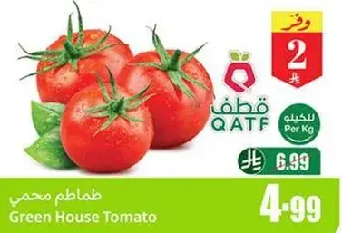 Green House Tomato Per Kg