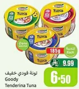 تونه قودي تنديرينا