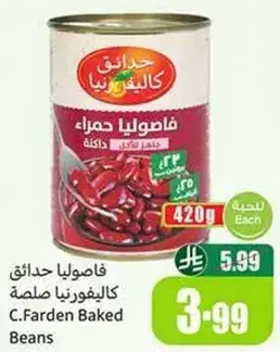 فاصوليا حمراء
