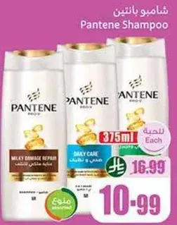 شامبو بانتين