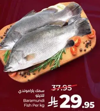 Baramundi Fish Per kg