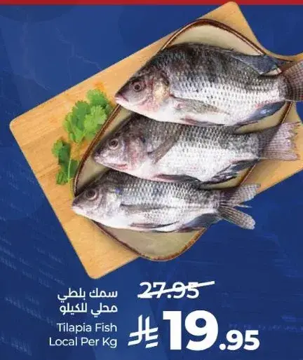 Tilapia Fish Local Per Kg