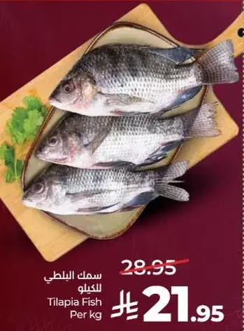 Tilapia Fish Per kg