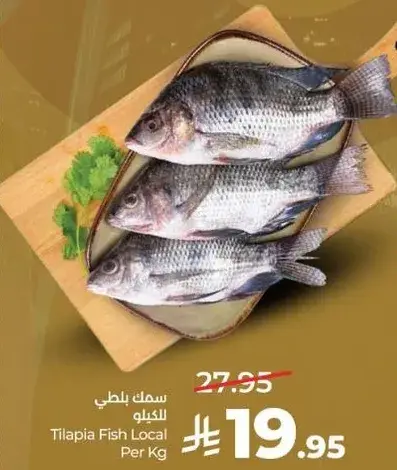 Tilapia Fish Local Per Kg
