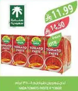 Nada Tomato Paste 8 pcs