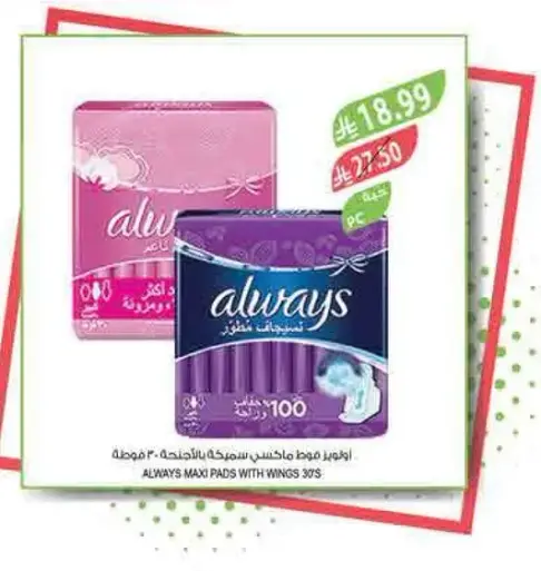 Always Maxi Pads 30's