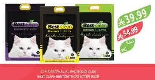 بيست كلين رمل القطط 10 لتر