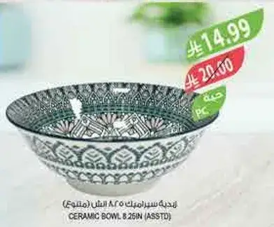 Ceramic bowl 8.25in (assorted)
