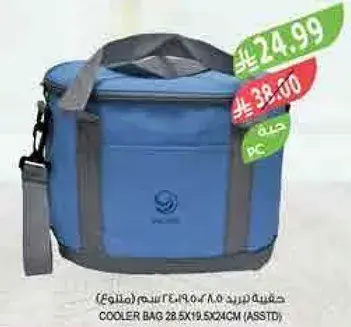 حقيبه بارده 28.5×19.5×21 سم (متنوع).