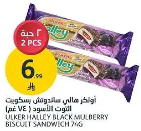 Ulker Halley Black Mulberry Biscuit Sandwich 74g