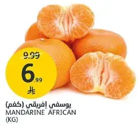 يوسفي افريقي (كغم)