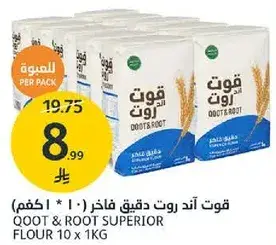 قوت اند روت دقيق فاخر ( 10 * 1 كجم)