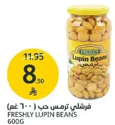 فرشلي ترمس حب 600 جرام