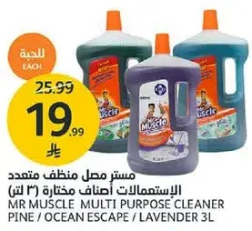 مستر مصل منظف متعدد الاستعمالات 3 لتر