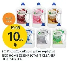 Eco Home Disinfectant Cleaner Assorted 3L