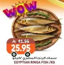 سمك الرنجه المصري كيلو