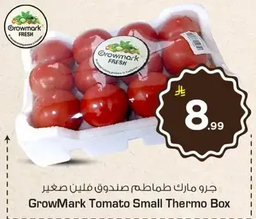 جرز مارك طماطم صندوق صغير
