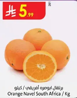 Orange Navel South Africa per Kg.